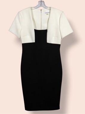 Calvin Klein Black White Colorblock Sheath Dress Size 4 Career Elegant